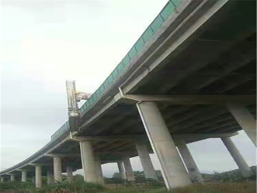 13.jpg 13.jpg